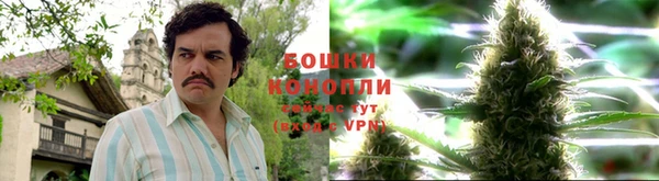 PSILOCYBIN Бронницы