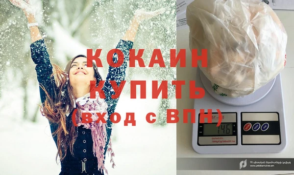 гашик Михайлов
