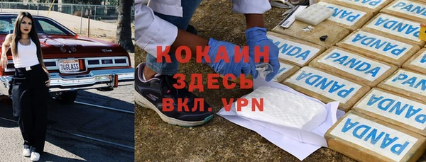 мдпв Мегион