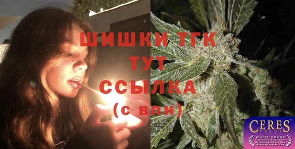 молекула духа Медногорск