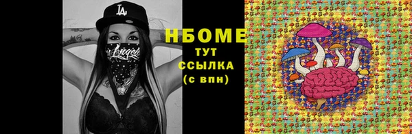 гашик Михайлов