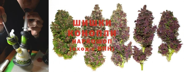гашик Михайлов