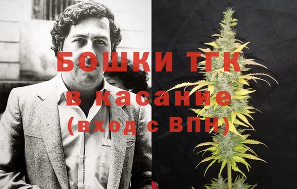 молекула духа Медногорск