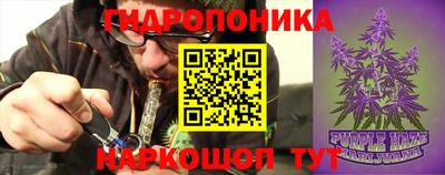 индика Балашиха