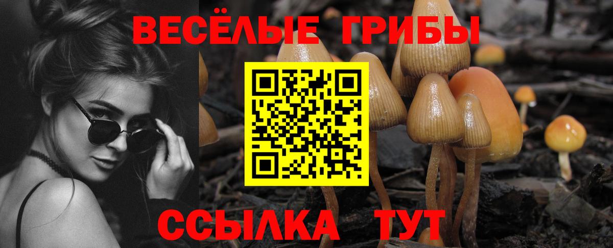 продажа наркотиков  Вход с VPN  Коломна  Галлюциногенные грибы GOLDEN TEACHER 