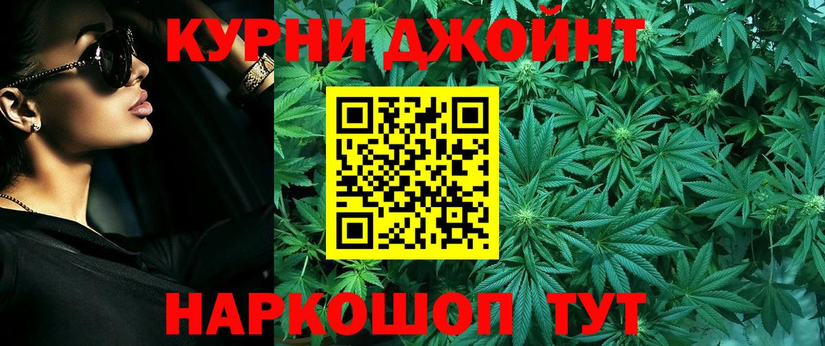 Бошки Шишки White Widow  Коломна  Бошки Шишки планчик  Каннабис индика 